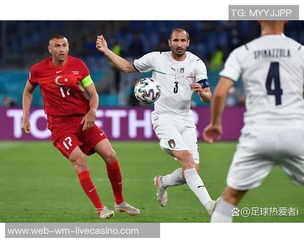 土耳其足球国家队的崛起与挑战探索球队未来发展之路