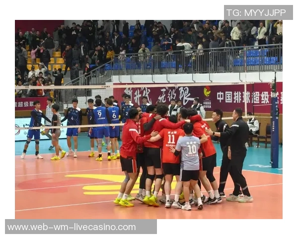 男排与女排的较量不仅是力量的对抗更是技巧与团队精神的完美结合